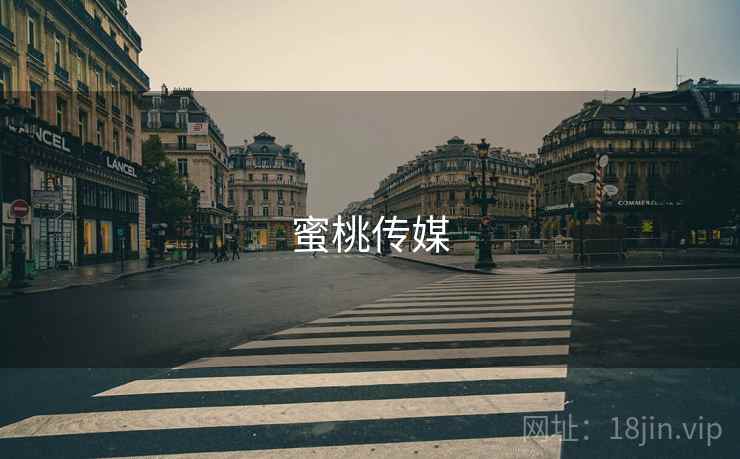 蜜桃传媒 第2张