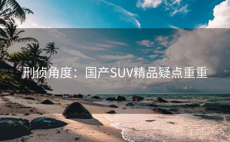 刑侦角度：国产SUV精品疑点重重