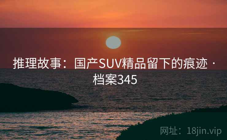 推理故事：国产SUV精品留下的痕迹 · 档案345