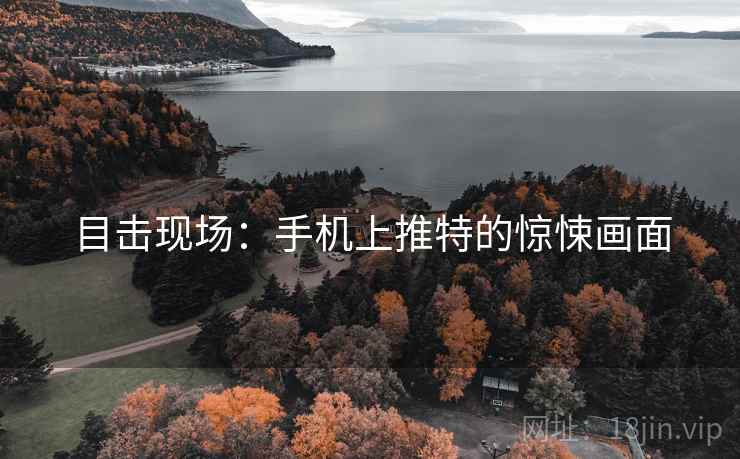 目击现场:手机上推特的惊悚画面 第2张 目击现场:手机上推特的惊悚画面 第2张