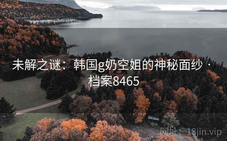 未解之谜：韩国g奶空姐的神秘面纱 · 档案8465  第1张