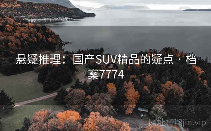 悬疑推理:国产SUV精品的疑点 · 档案7774 第2张 悬疑推理:国产SUV精品的疑点 · 档案7774 第2张