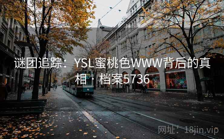 谜团追踪：YSL蜜桃色WWW背后的真相 · 档案5736